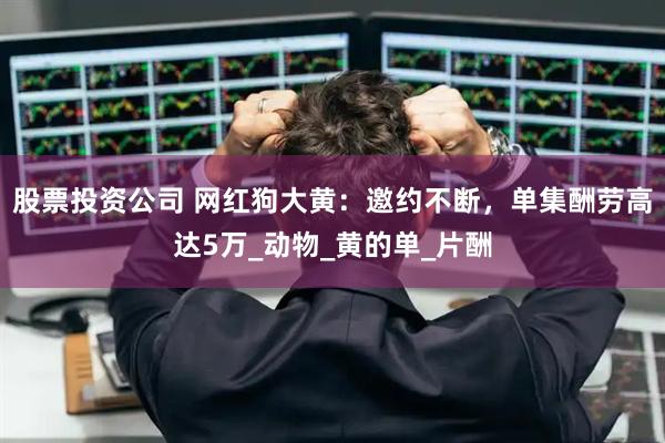 股票投资公司 网红狗大黄：邀约不断，单集酬劳高达5万_动物_黄的单_片酬